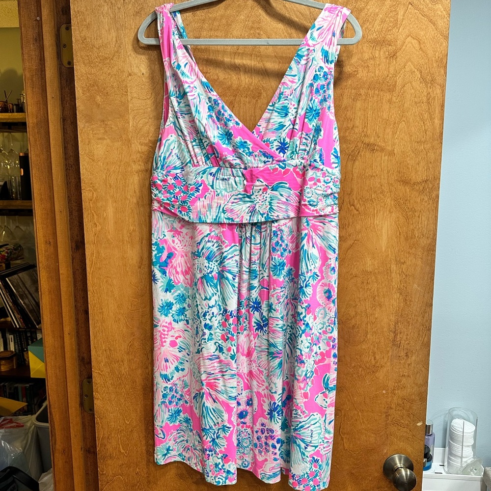 Lilly Pulitzer XL dress